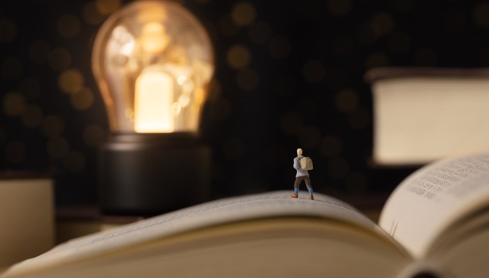 成人教育,监管,投资,独角兽,创业