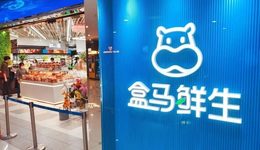 盒马被推出温室，“阿斗”为何让阿里寒心？