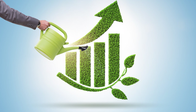 晨星报告：2021年四季度全球可持续基金资产扩大9%