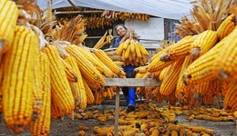 一周聲音 | 農(nóng)業(yè)農(nóng)村部：有能力保證14億多人不餓肚子 董明珠：對“996”開展公益訴訟