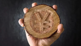 主动量化基金退潮，泰达宏利业绩驱动清盘，管理人竞争格局分化