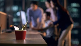 地方新聞精選 | 北京將集中整治超時加班問題 山東550余萬名大中小學生線上開課