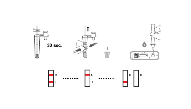 数据  |  一图看懂“抗原检测”，与核酸、抗体检测有何异同？