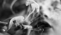 電子煙最后的瘋狂：商家囤100萬貨，收割完離場