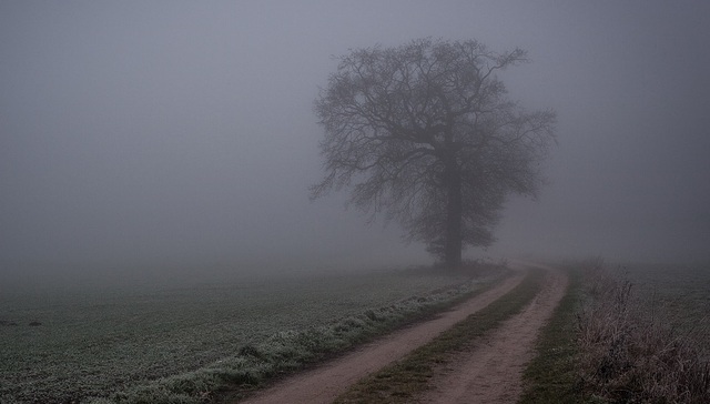 编辑部聊天室 | 我们拿什么抵抗虚无？