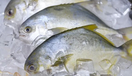 叮咚买菜食安问题频发，希冀实现全面盈利，资金趋紧如何造血是关键