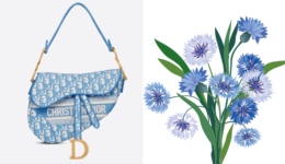 迪奥邂逅蓝衣矢车菊，Skims泳装自在呼吸｜是日美好事物