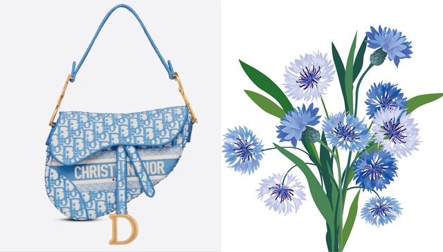 迪奥邂逅蓝衣矢车菊，Skims泳装自在呼吸｜是日美好事物