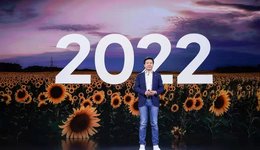 小米出海，全靠“竹林”