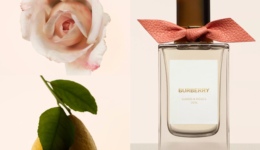 博柏利收集英伦花园香气，Esprit破解怀旧时尚密码｜是日美好事物