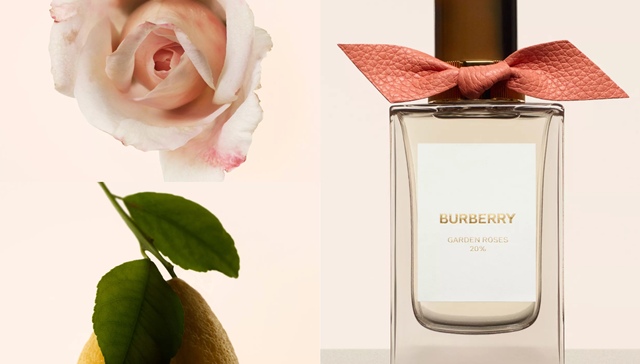 博柏利收集英伦花园香气，Esprit破解怀旧时尚密码｜是日美好事物