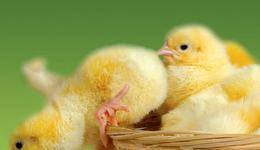 15年孵化260家初创企业，M2D2如何脱离高校成为全球顶级医疗孵化器