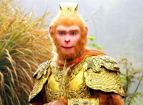 悟空保,监管,投资,理财,消费