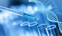 IPO不到一年又融资，诺禾致源拟定增近23亿建基因测序实验室，股价自高位回落近六成