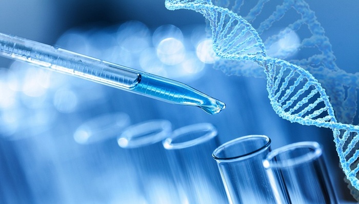 诺禾致源,定增,基因测序