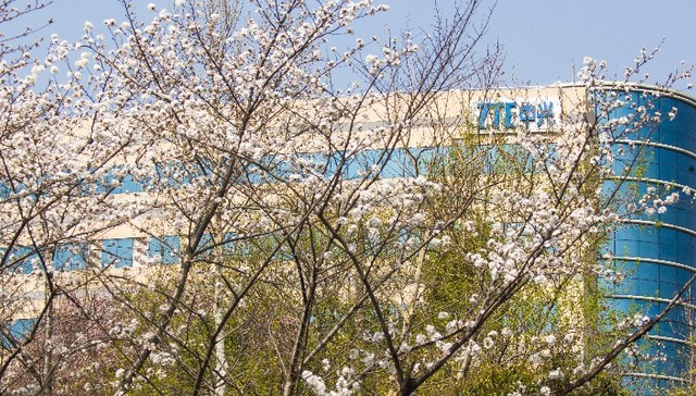 ZTE probation ends after 5 years