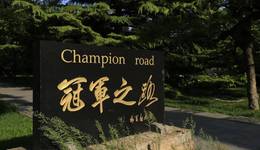 卷在考研里的体育人