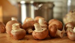 真菌原料將在國(guó)內(nèi)化妝品行業(yè)異“菌”突起?