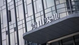 投资55亿元，青山实业联手上汽新建电池工厂