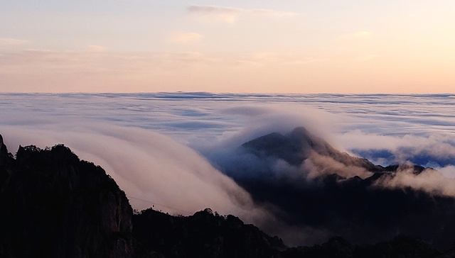 景区旅游生意不佳，黄山鼓励导游兼职采茶