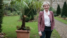 家庭中的心理学：人如何继承了父母的问题？