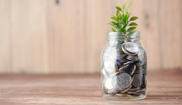 李寧、安踏、貴人鳥......昔日國貨鞋服大佬們正在勇闖風(fēng)投圈