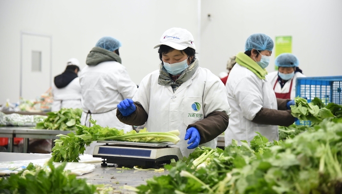 上海疫情，崇明，菜篮子，万禾农场,黄震,团区委,政协委员