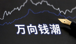 萬(wàn)向集團(tuán)電池板塊啟動(dòng)上市輔導(dǎo)