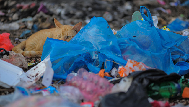 生态环境部答界面新闻：13部门正研究制定新污染物治理行动方案