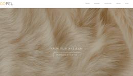 开云集团和善待动物组织等共同探讨“人造皮草”的未来