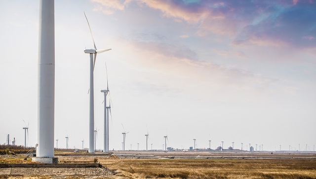 光伏巨头晶科科技首次进军风电