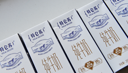 蒙牛营收增速达5年内最高