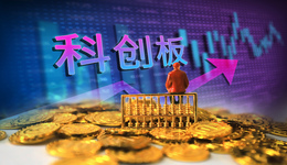 核心技术人员8日完成清仓套现，科创板赛科希德原股东遭证监会立案调查