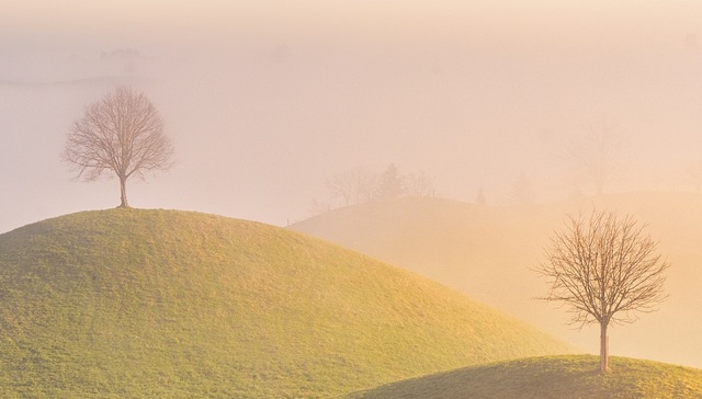 他人的灾难接二连三来的时候，我们开始麻木到选择视而不见 | 一周新书推荐