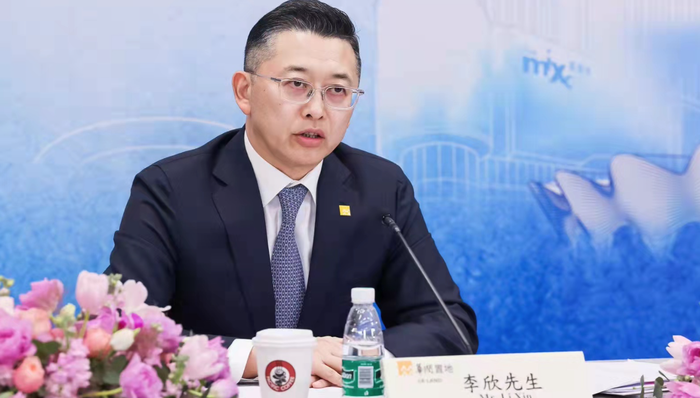 并购,华润置地,融资