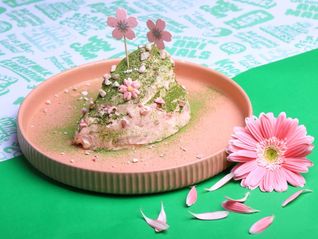 派悦坊推出春日限定青团蛋糕，TIAGO新季菜单绿意盎然 ｜ 美食情报