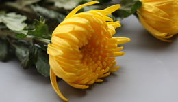 清明“云祭扫”，互联网远程催泪体验