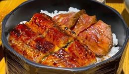 鰻魚“游戲”，誰是贏家？