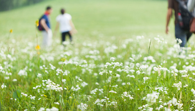 一周声音 | 文旅部：清明旅游严格落实防疫措施 中纪委网站：用法治捍卫英烈荣光