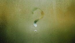 三問飛豬“組織改革”