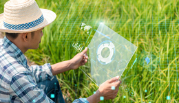 時(shí)隔多年，IDG資本再出手投資農(nóng)業(yè)公司