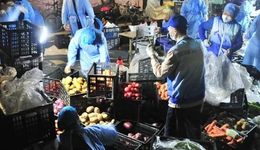 上海，不會(huì)因怨懟而更好