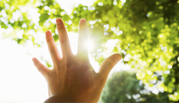 視頻｜我是黨員，向你報(bào)到