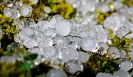 四川安岳遭13級狂風伴隨暴雨冰雹襲擊，暫未收到人員傷亡報告