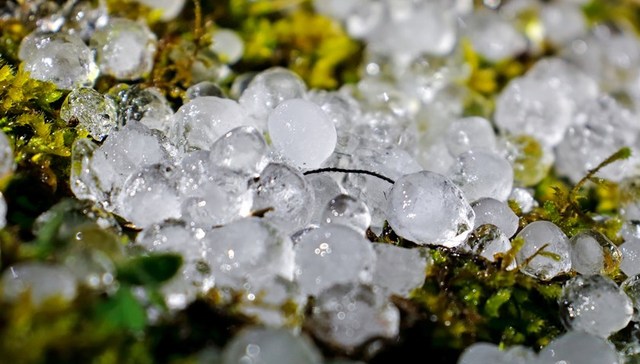 四川安岳遭13级狂风伴随暴雨冰雹袭击，暂未收到人员伤亡报告