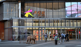 大悦城去年扭亏为盈，今年目标800亿元