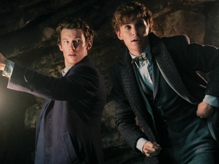 个人意见 | 这次既不“神奇”也没有“谜”，粉丝滤镜该摘了