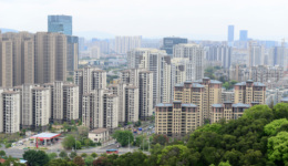 连平：今年楼市或先抑后扬，房贷还款延期对银行影响有限