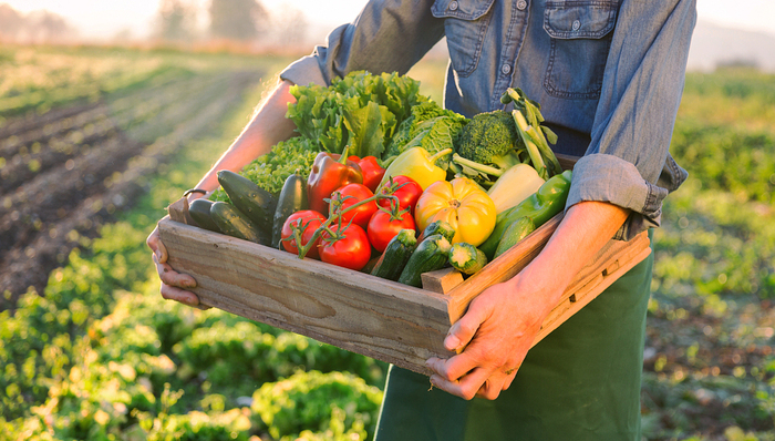 上海最大的食堂食品供应商乓乓响冲击上市