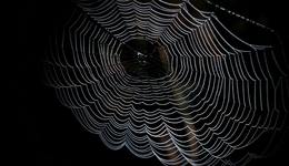 高管大震荡，阿里云四面楚歌